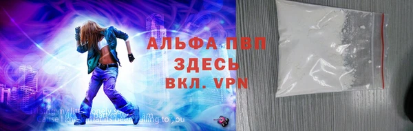 стаф Инсар
