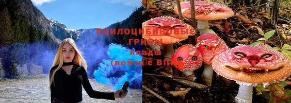 круглые Алексеевка