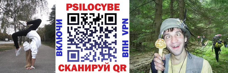 что такое наркотик  Туапсе  Псилоцибиновые грибы Cubensis 