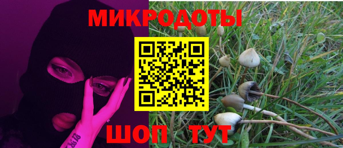 Туапсе  Галлюциногенные грибы GOLDEN TEACHER  Галлюциногенные грибы ЛСД  Вход с VPN 